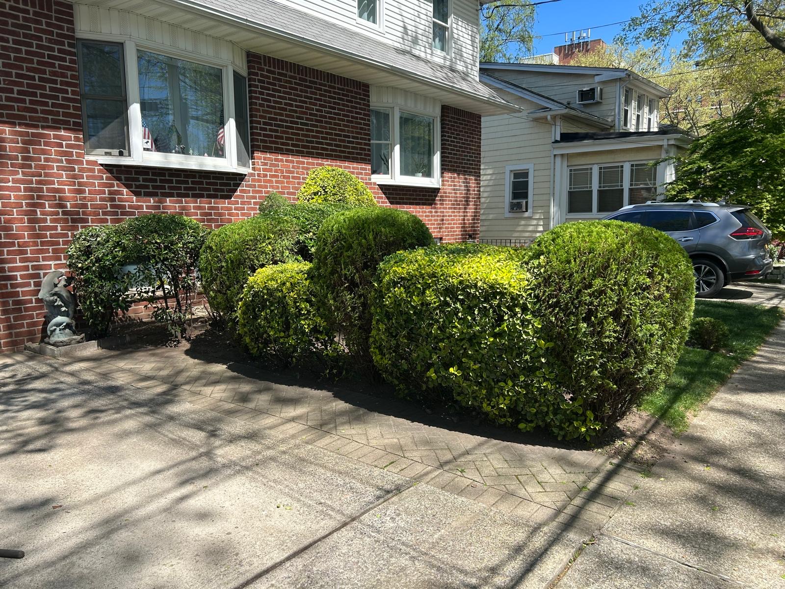 Shrub trimming and shaping