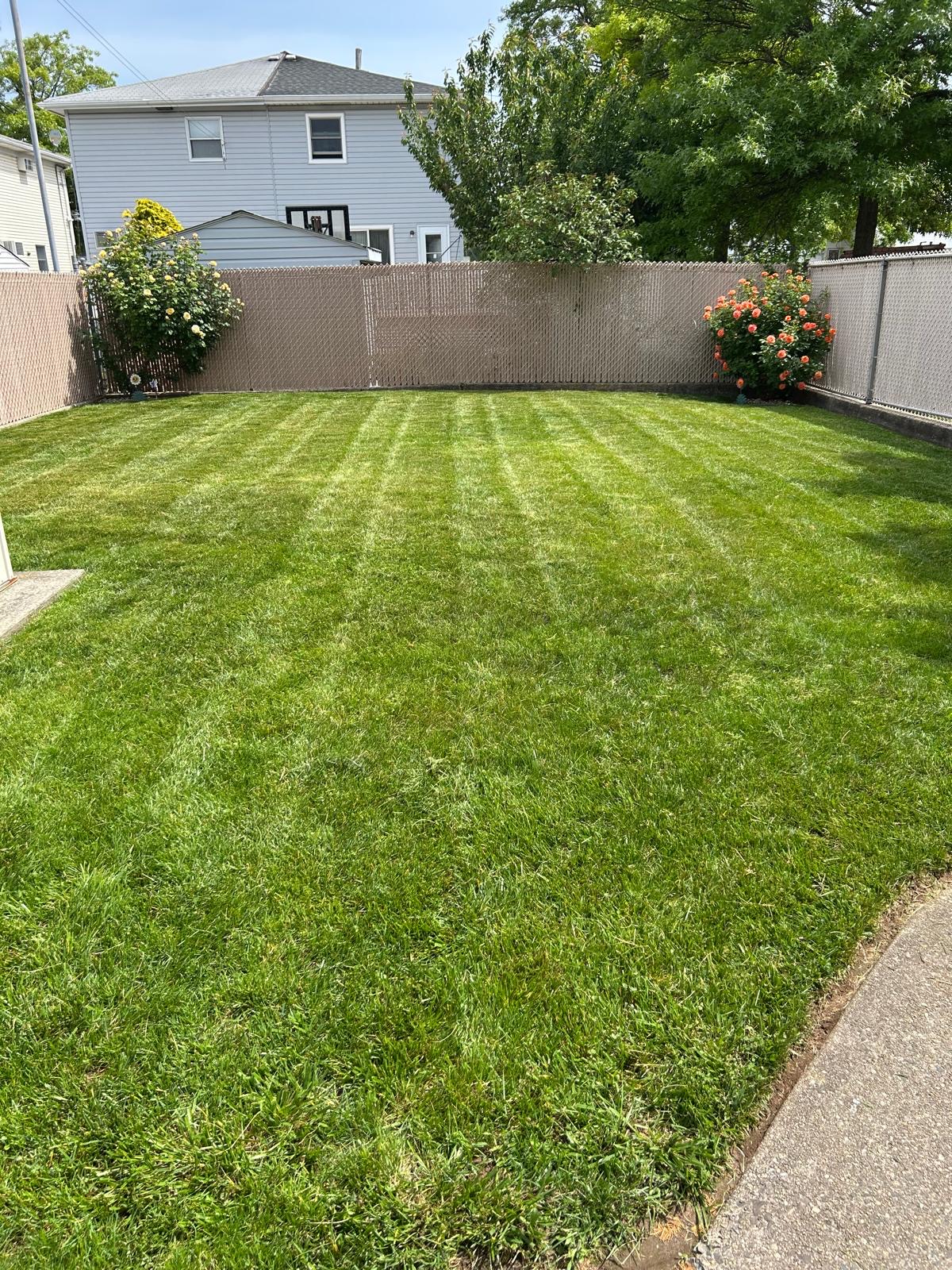Lawn care and maintenance