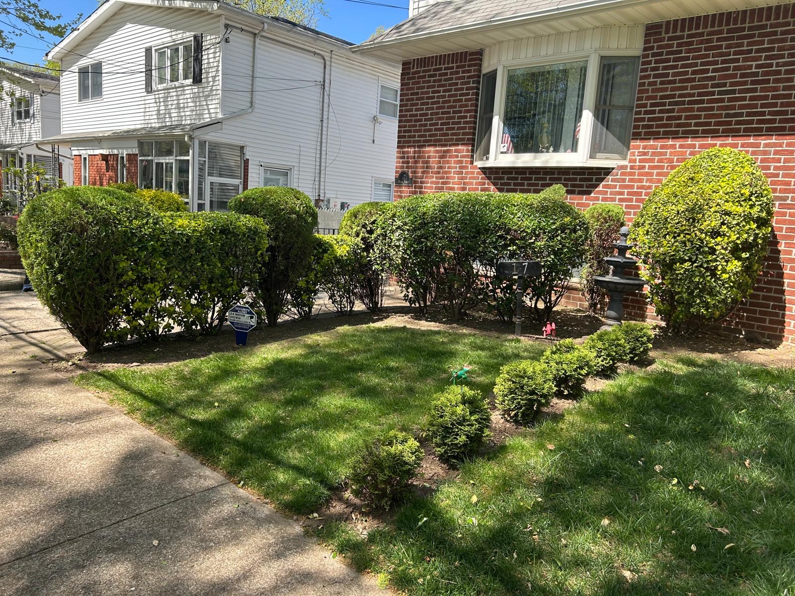 Front yard landscaping