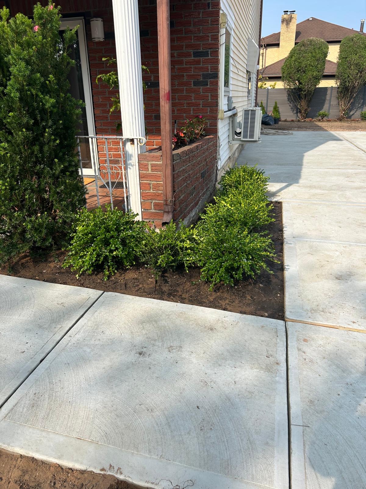Front walkway landscaping