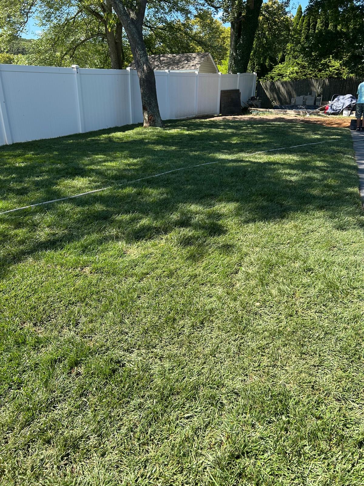 Backyard lawn restoration