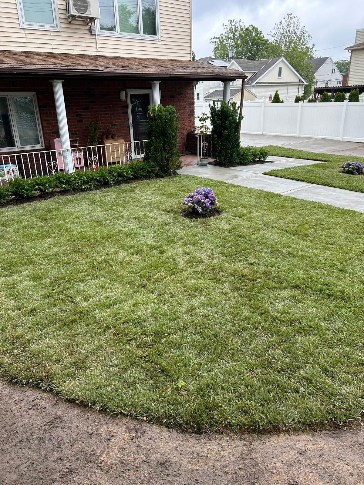 Front yard lawn and landscaping