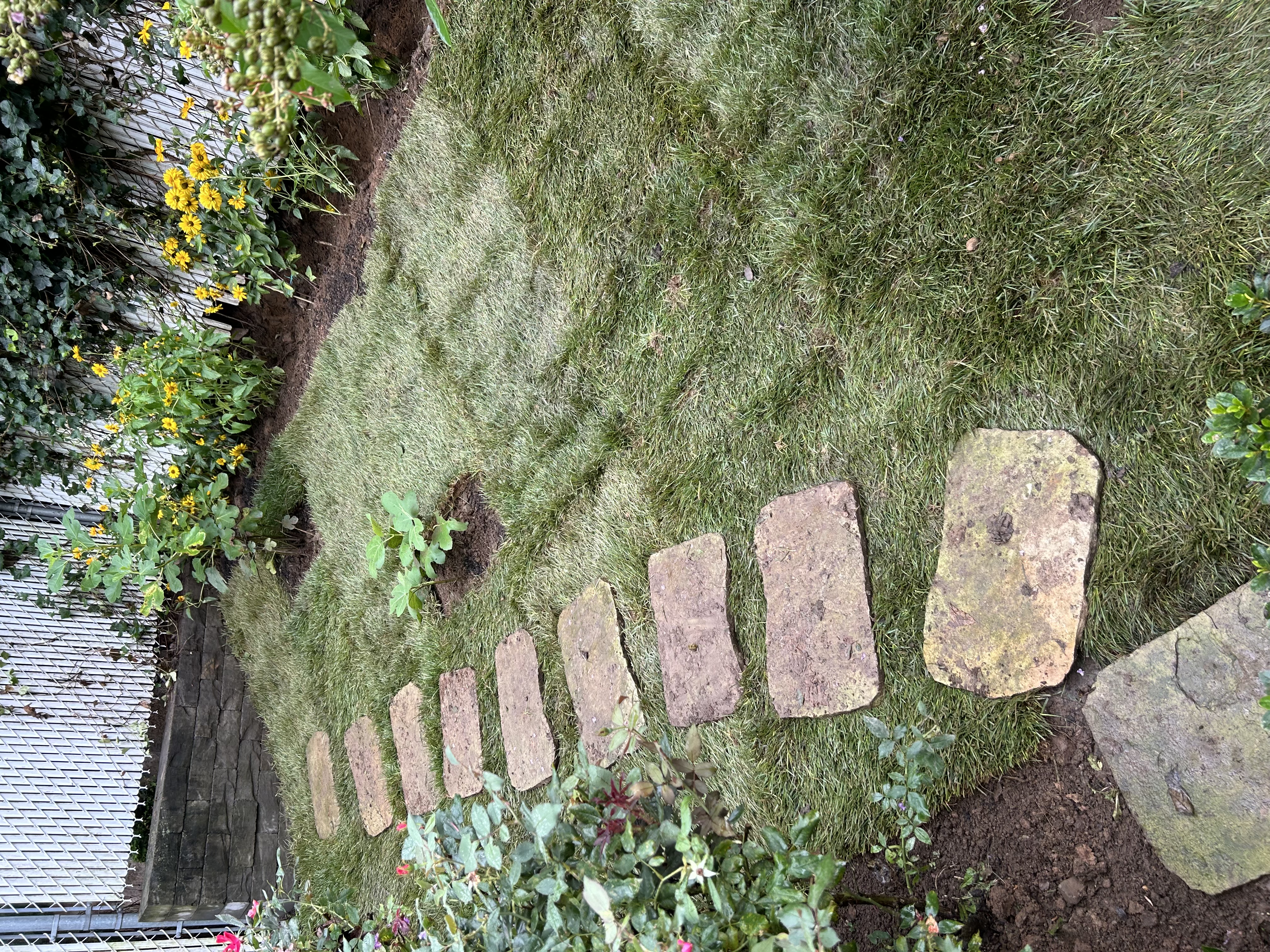 Garden stone pathway
