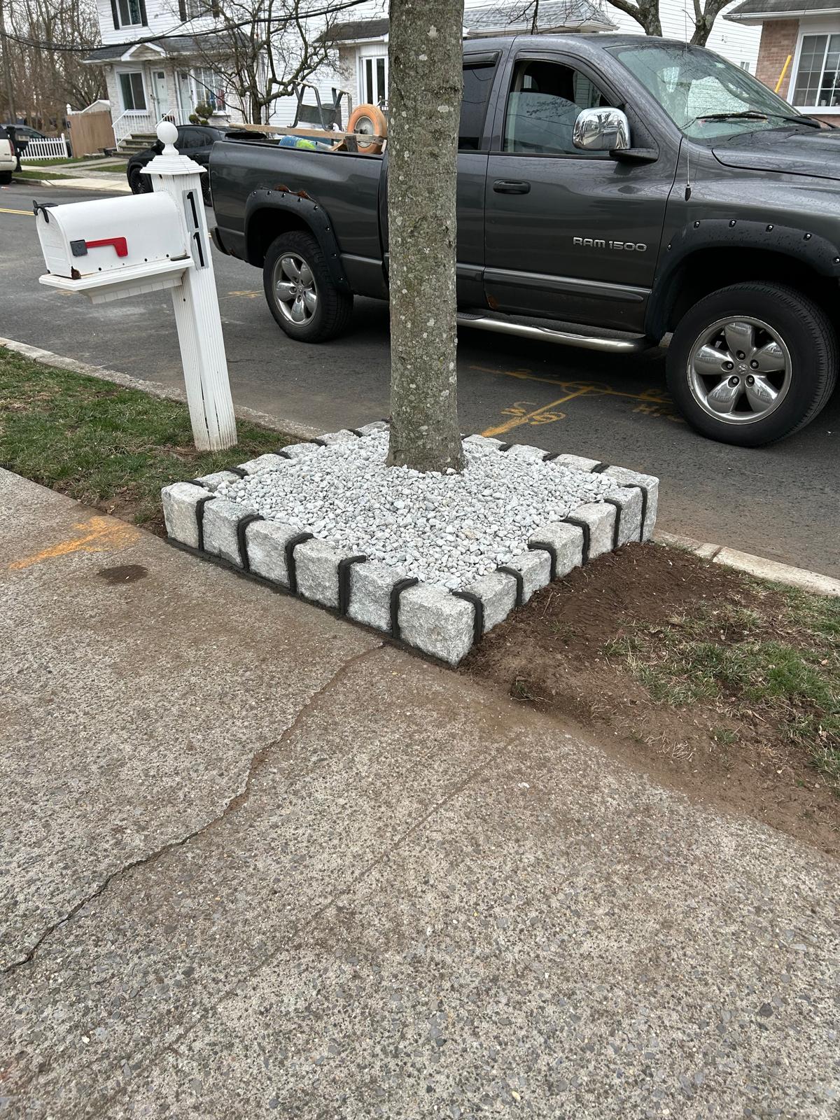 Tree ring and paver border