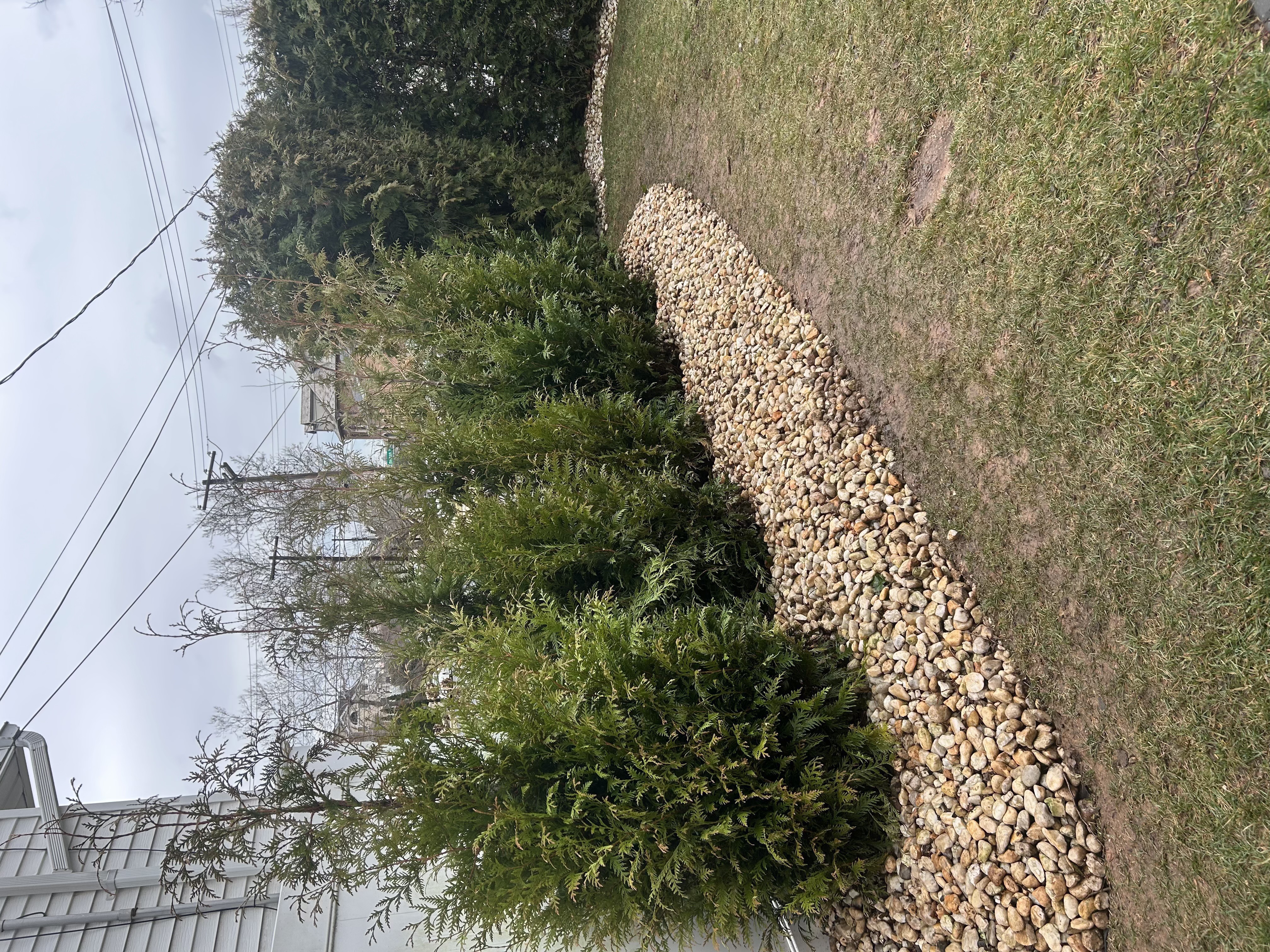 Shrub bed with stone gravel