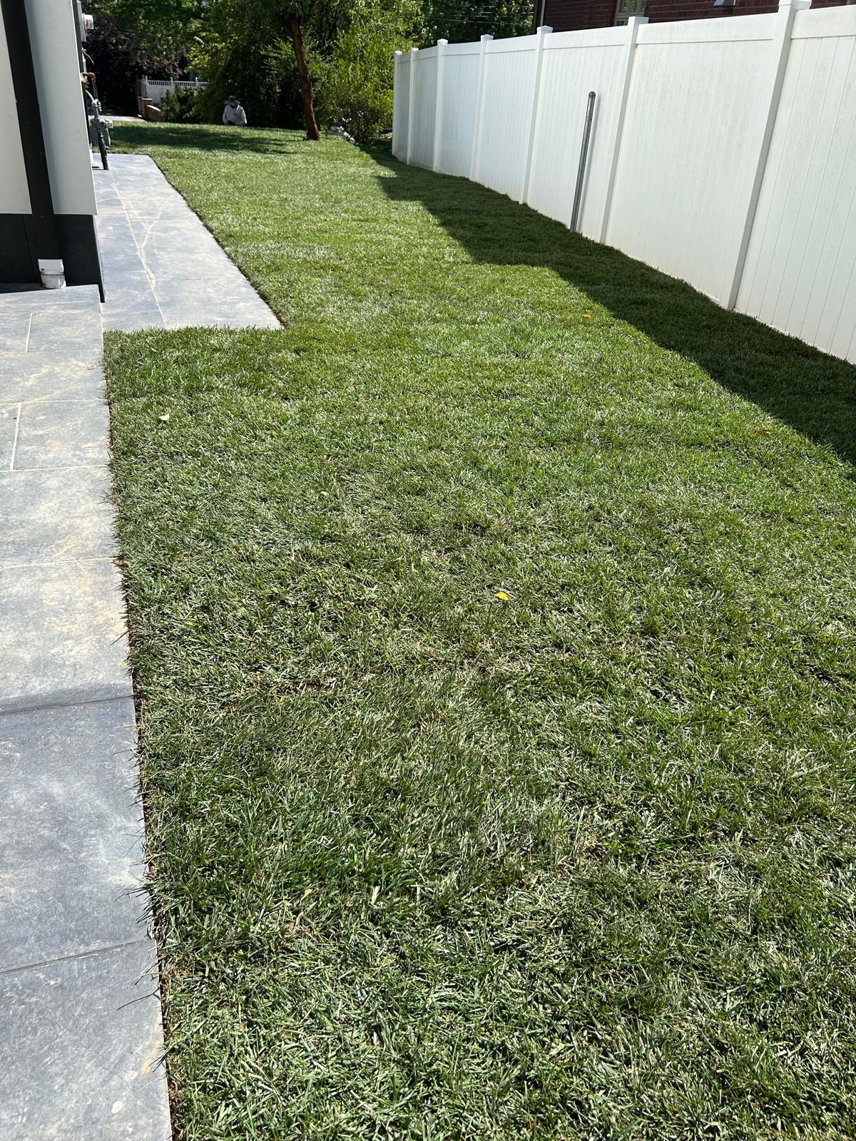 Lawn with stone pathway